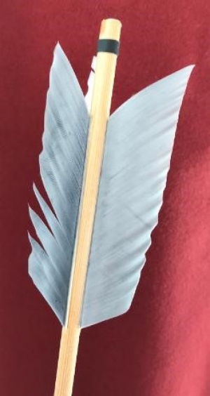 Feathers