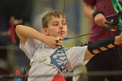 British Wheelchair Archery Association